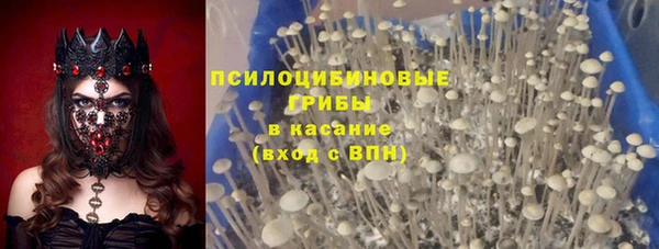 эйфоретик Богородицк