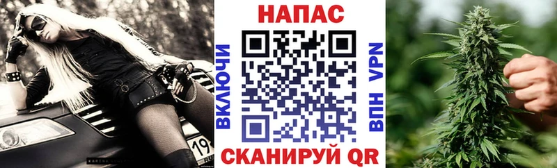 Шишки марихуана сатива Купить Вязьма